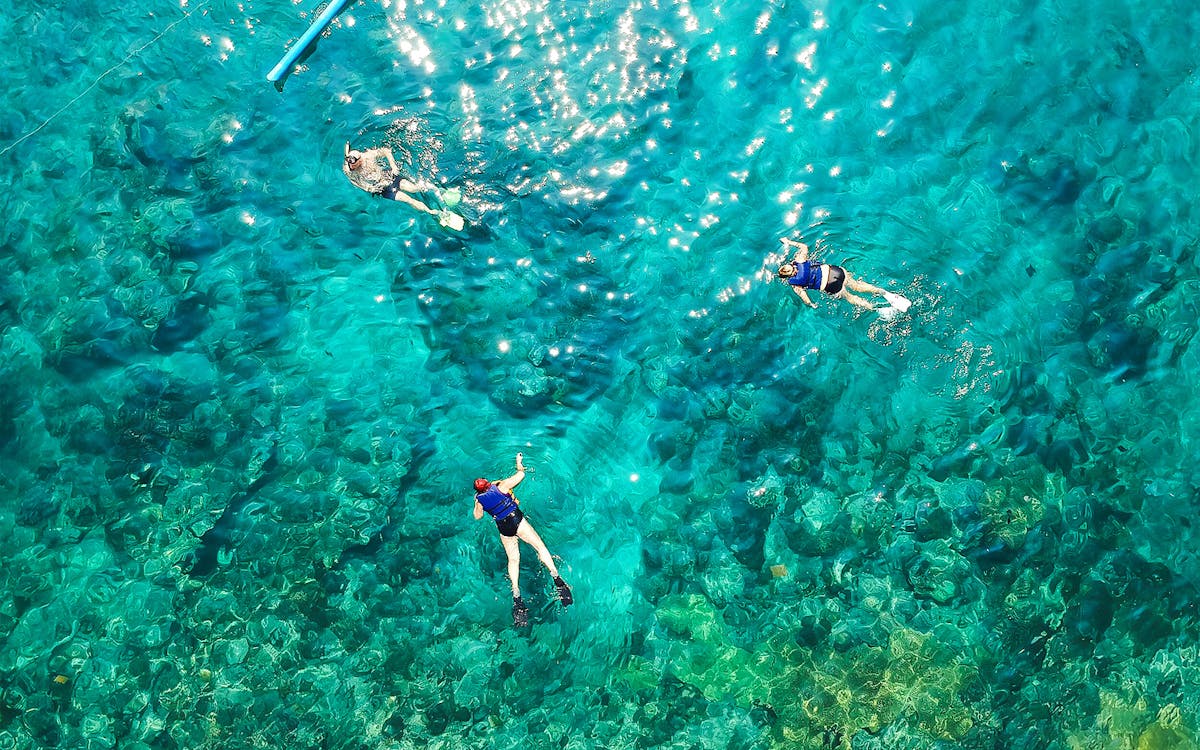 guided half-day snorkelling tour in fujairah with bbq lunch-9 guided half-day snorkelling tour in fujairah with bbq lunch-9