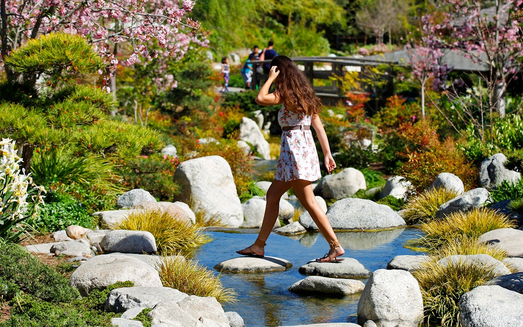 Woman crossing stepping stones in a Japanese garden, San Diego.