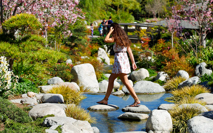 Woman crossing stepping stones in a Japanese garden, San Diego.