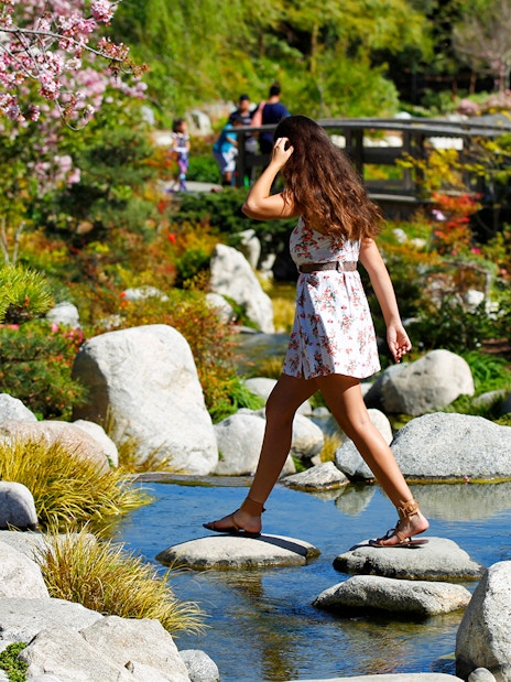 Woman crossing stepping stones in a Japanese garden, San Diego.