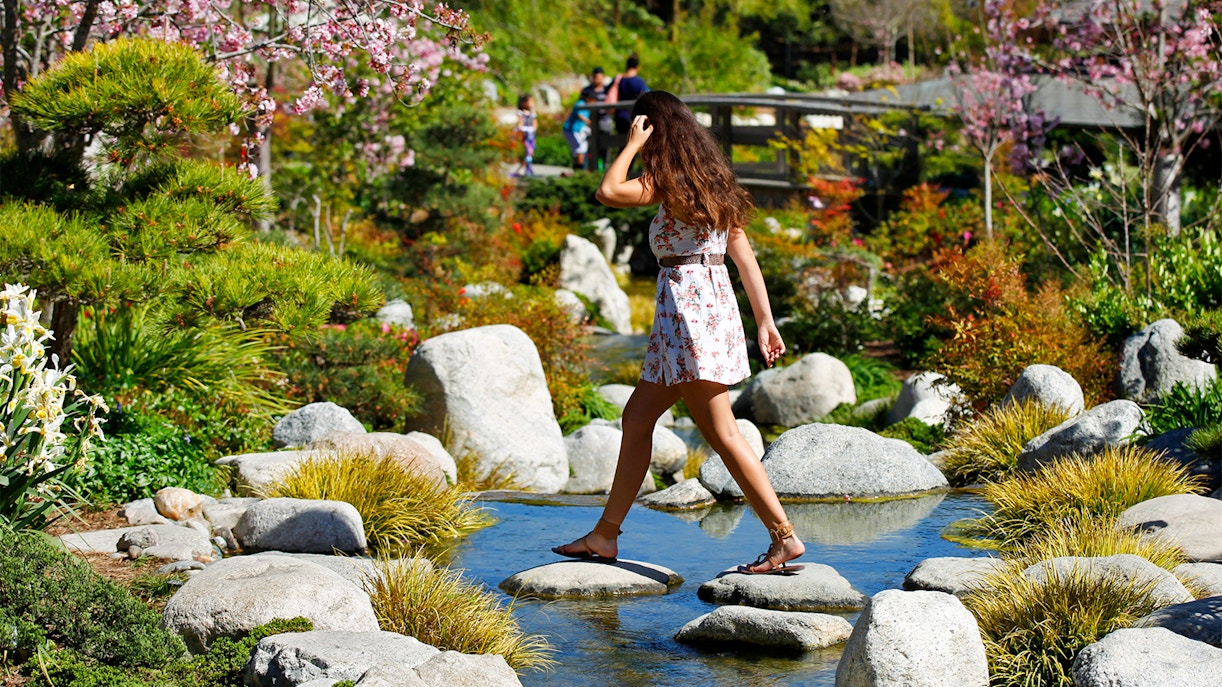 Access 50+ Attractions