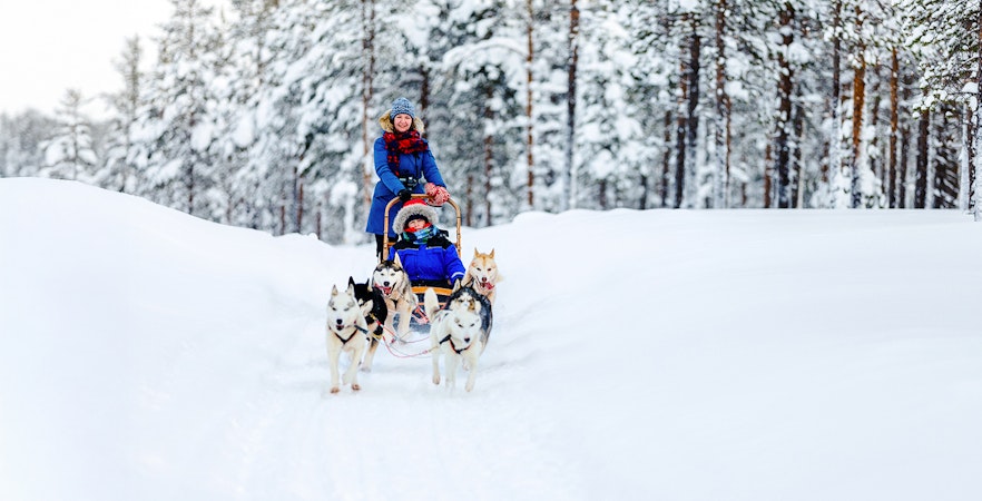 Husky sledding experiences