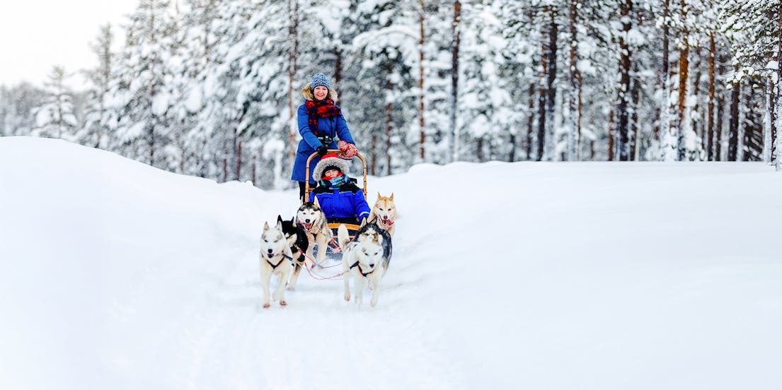 Husky sledding experiences