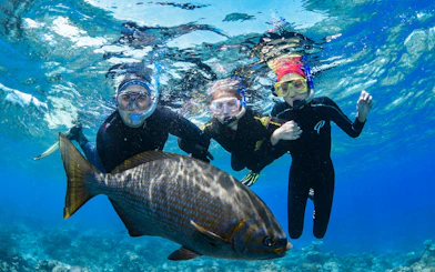 Snorkelers exploring coral reef with fish in clear waters near Cairns.