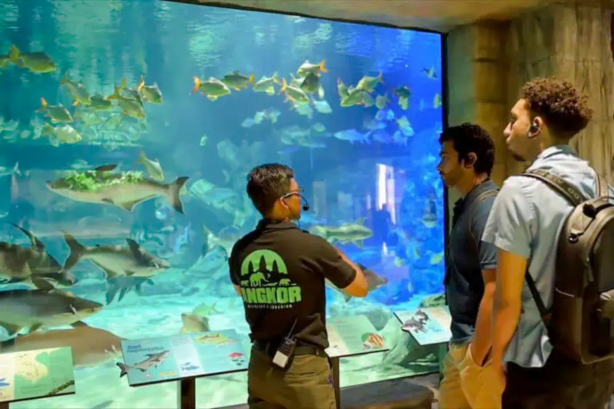 Visitors observing fish in a large aquarium at Angkor Wildlife & Aquarium, Siem Reap.