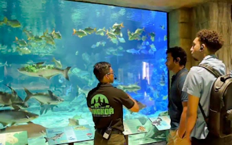 Visitors observing fish in a large aquarium at Angkor Wildlife & Aquarium, Siem Reap.