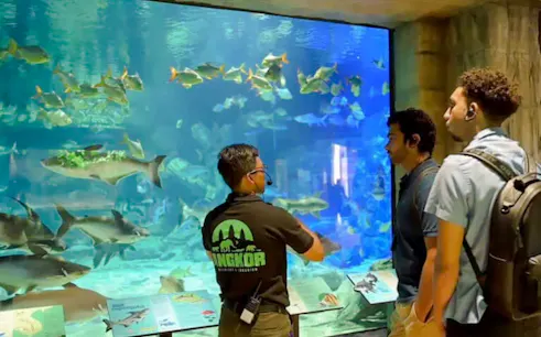 Visitors observing fish in a large aquarium at Angkor Wildlife & Aquarium, Siem Reap.
