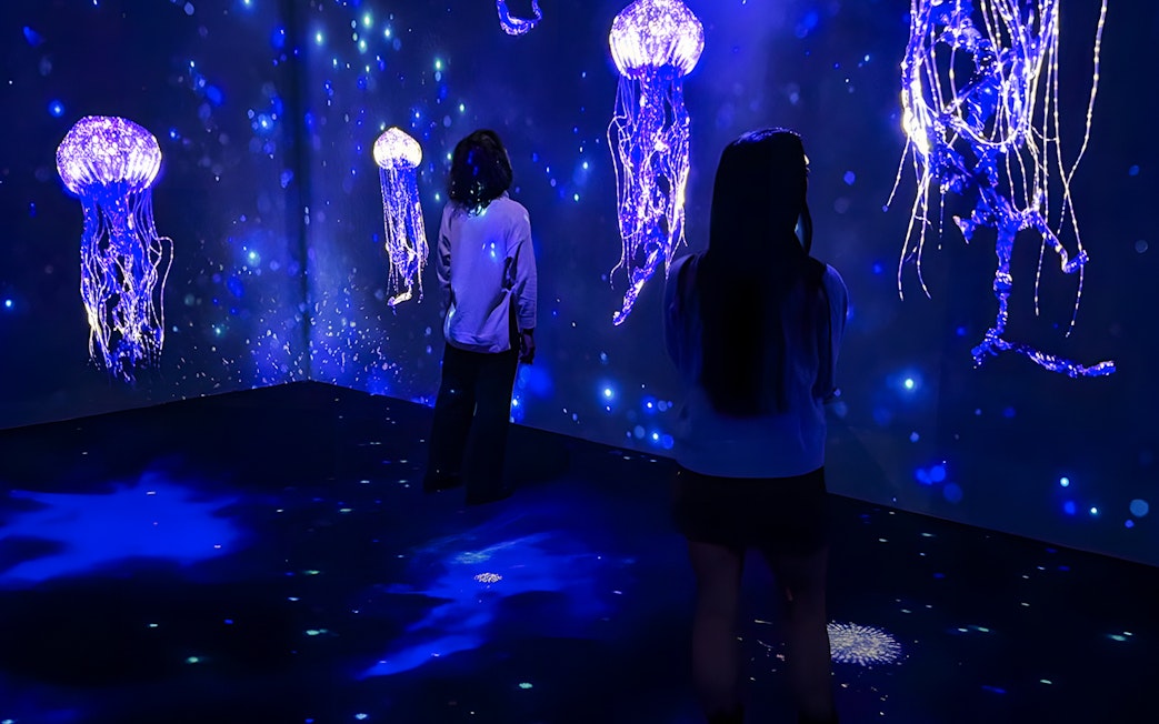 People viewing jellyfish display at Lisbon Oceanarium's Submerged Universe exhibit.