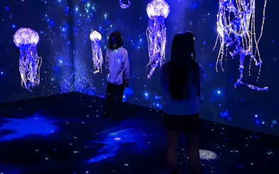 People viewing jellyfish display at Lisbon Oceanarium's Submerged Universe exhibit.