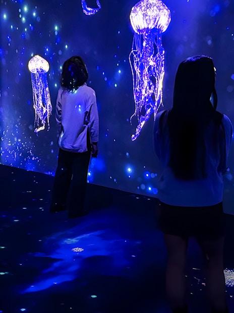 People viewing jellyfish display at Lisbon Oceanarium's Submerged Universe exhibit.