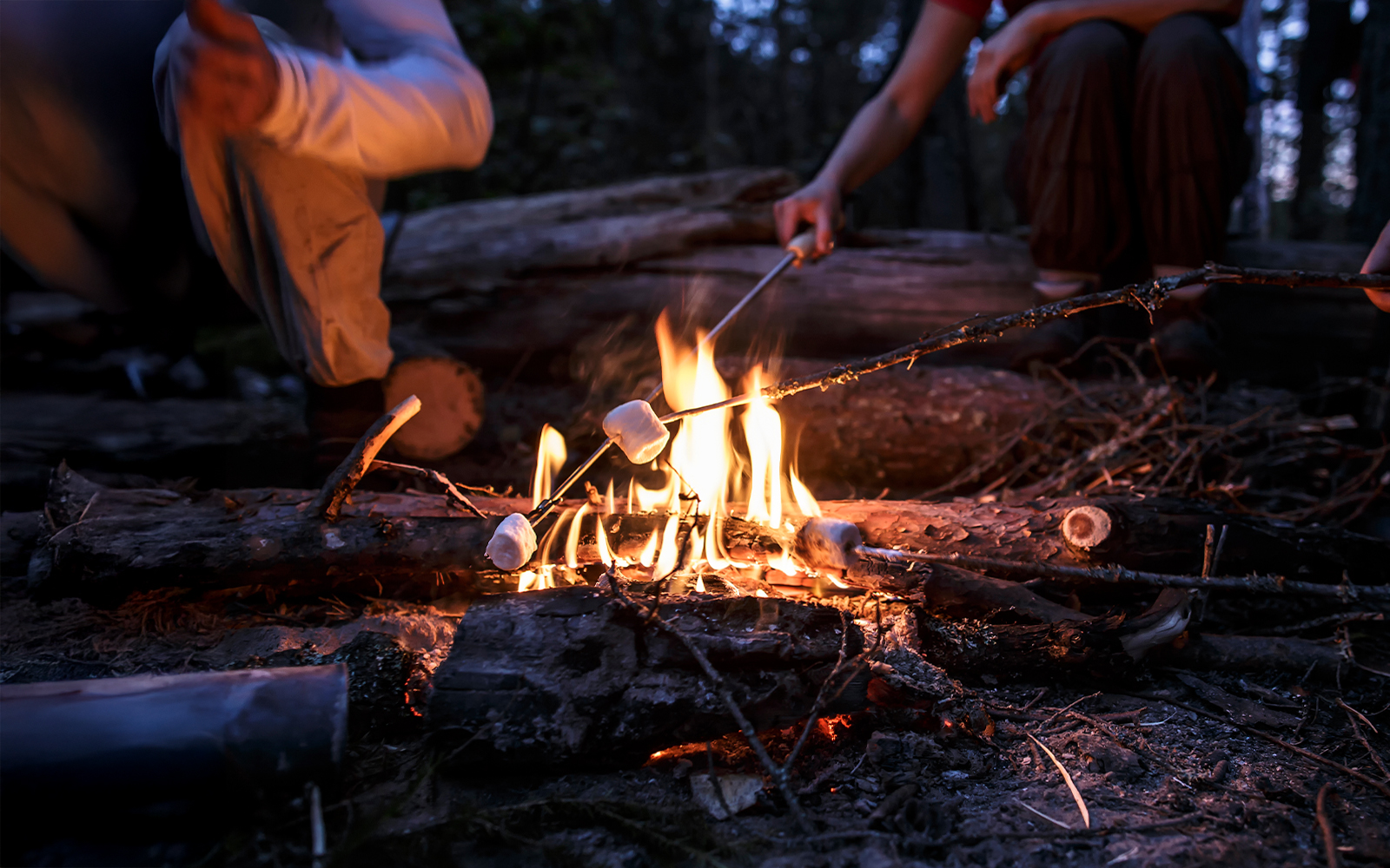 Roasting marshmallows over a campfire in Rovaniemi forest.