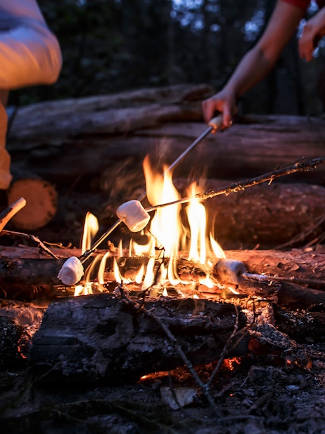 Roasting marshmallows over a campfire in Rovaniemi forest.