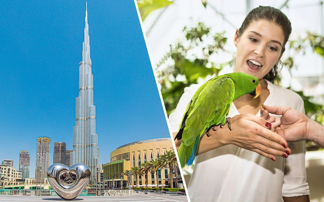 Burj Khalifa with heart sculpture and woman feeding parrot at Green Planet Dubai.