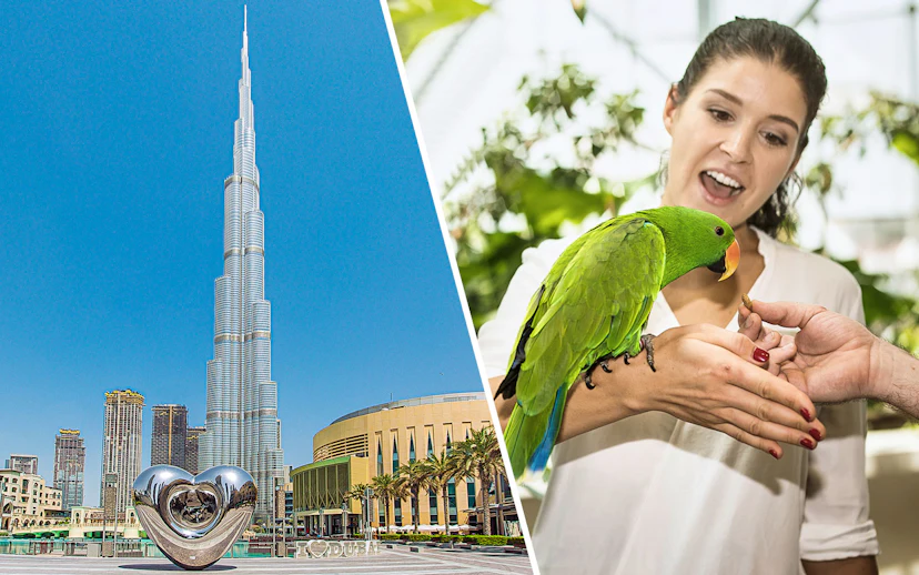 Burj Khalifa with heart sculpture and woman feeding parrot at Green Planet Dubai.