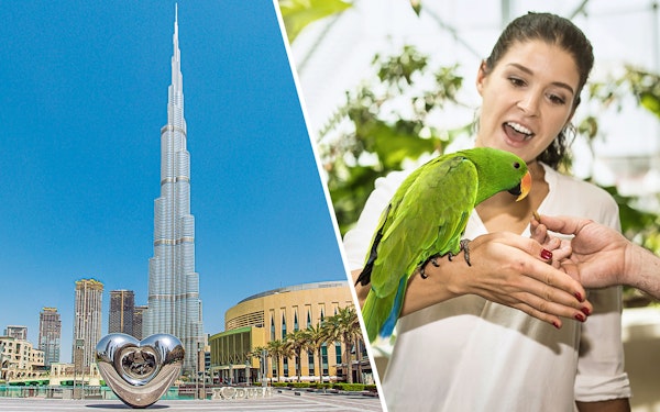 Combo: Burj Khalifa At the Top + Green Planet Tickets