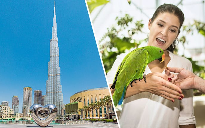 Burj Khalifa with heart sculpture and woman feeding parrot at Green Planet Dubai.