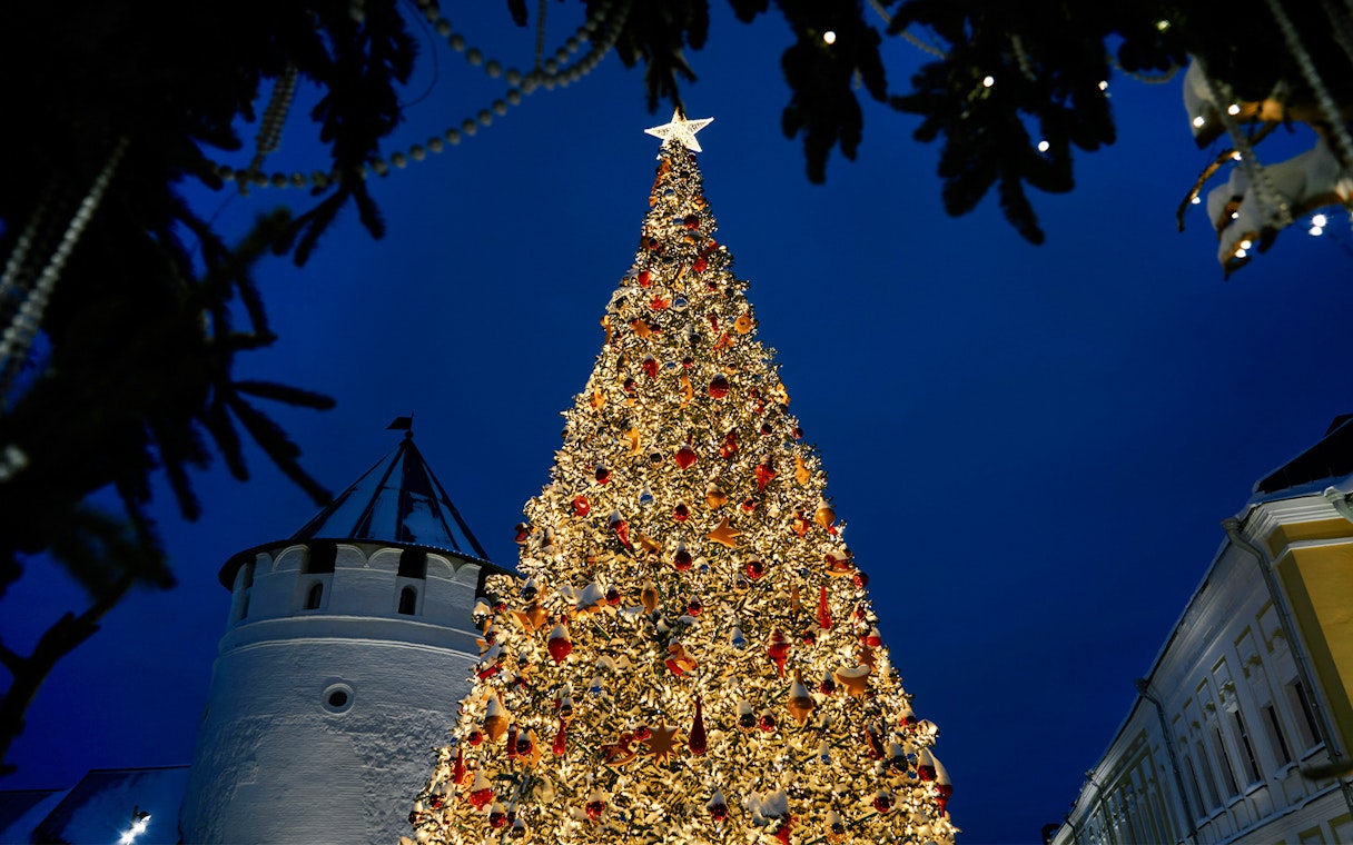 Christmas tree illuminated at night, Walt Disney World Orlando.