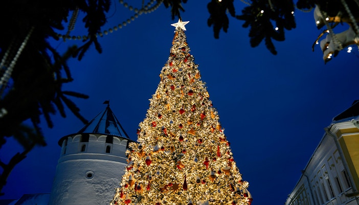 Christmas tree illuminated at night, Walt Disney World Orlando.