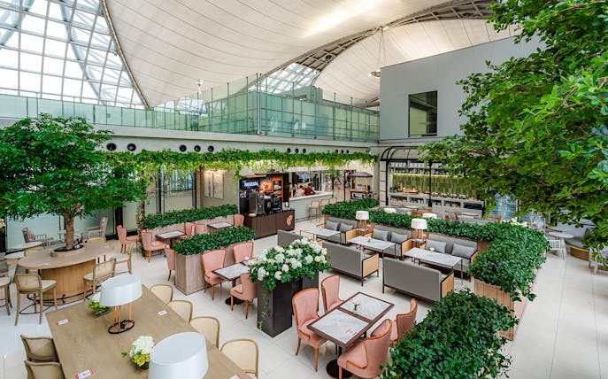 Coral Executive Lounge seating area with greenery, Bangkok airport, Thailand.