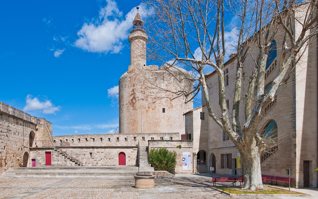 Aigues-Mortes tower and ramparts with stone courtyard and tree under blue sky.