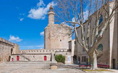 Aigues-Mortes tower and ramparts with stone courtyard and tree under blue sky.