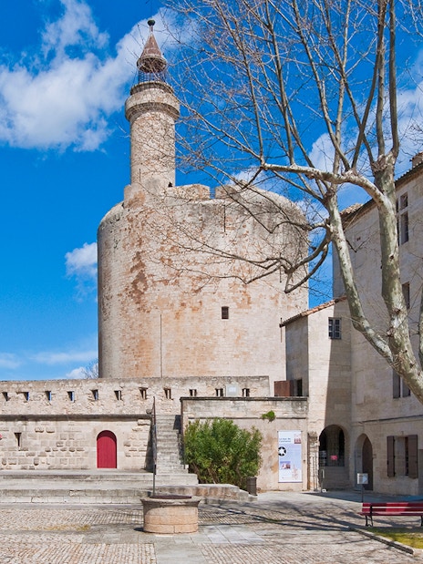 Aigues-Mortes tower and ramparts with stone courtyard and tree under blue sky.