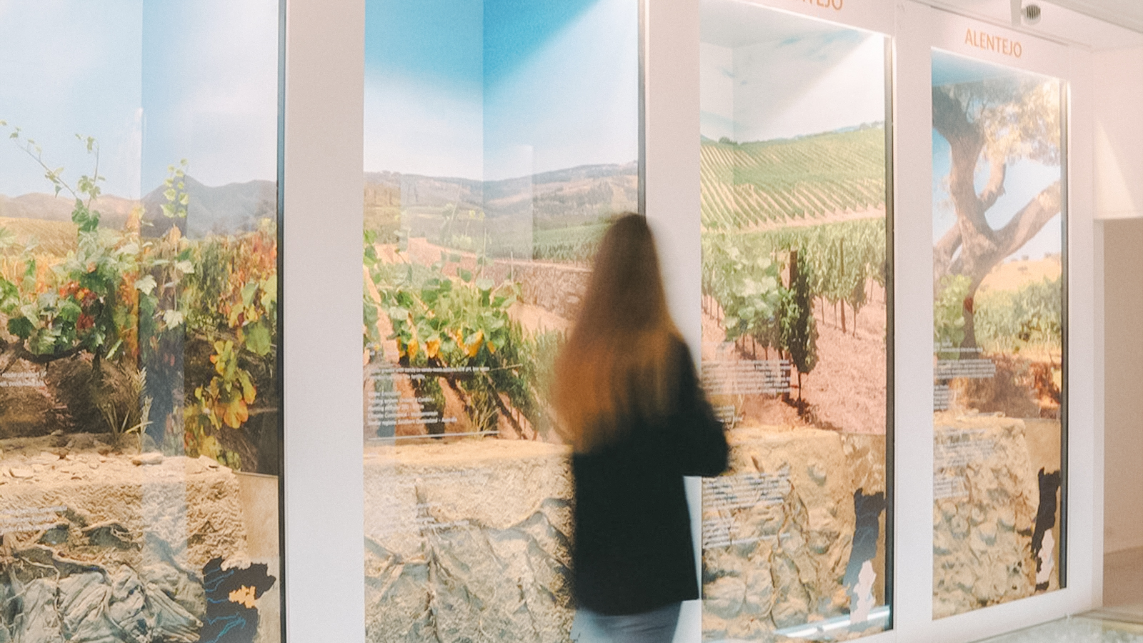 Visitor viewing vineyard displays at The Wine Experience in Alentejo, Portugal.