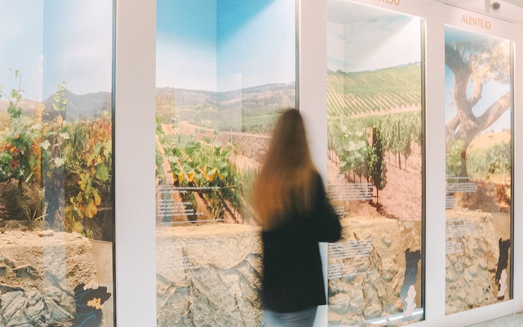 Visitor viewing vineyard displays at The Wine Experience in Alentejo, Portugal.