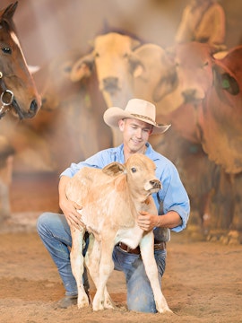 Cowboy kneeling with calf at Australian Outback Spectacular show.