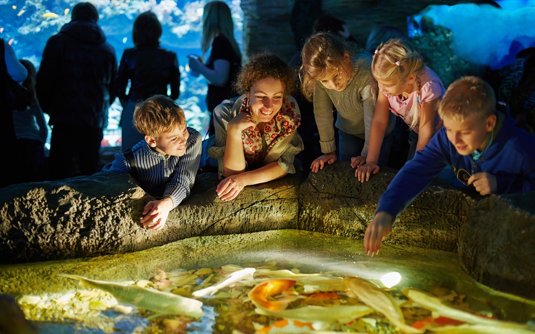 Visitors engaging with marine life at touch pool in Aquarium de Paris.