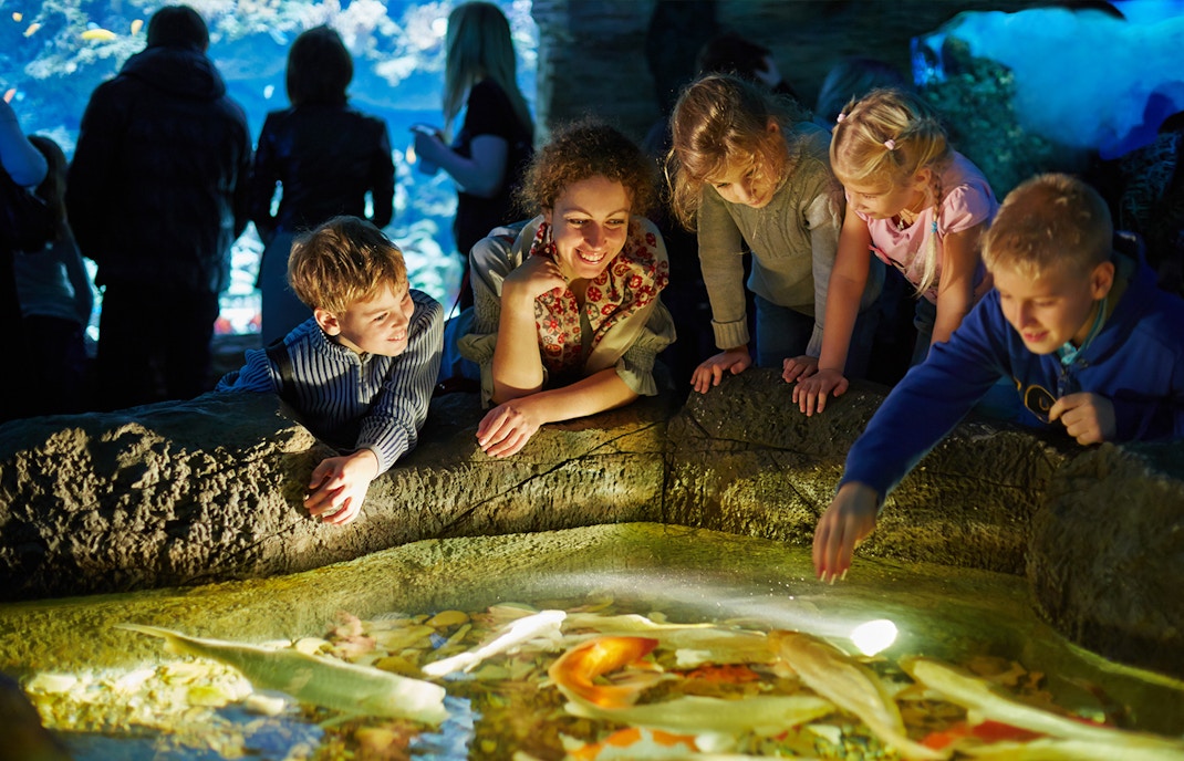 The Routes of the Tropics