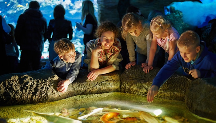 Visitors engaging with marine life at touch pool, Aquarium de Paris.