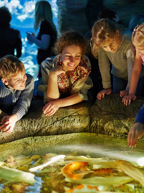 Visitors engaging with marine life at touch pool in Aquarium de Paris.