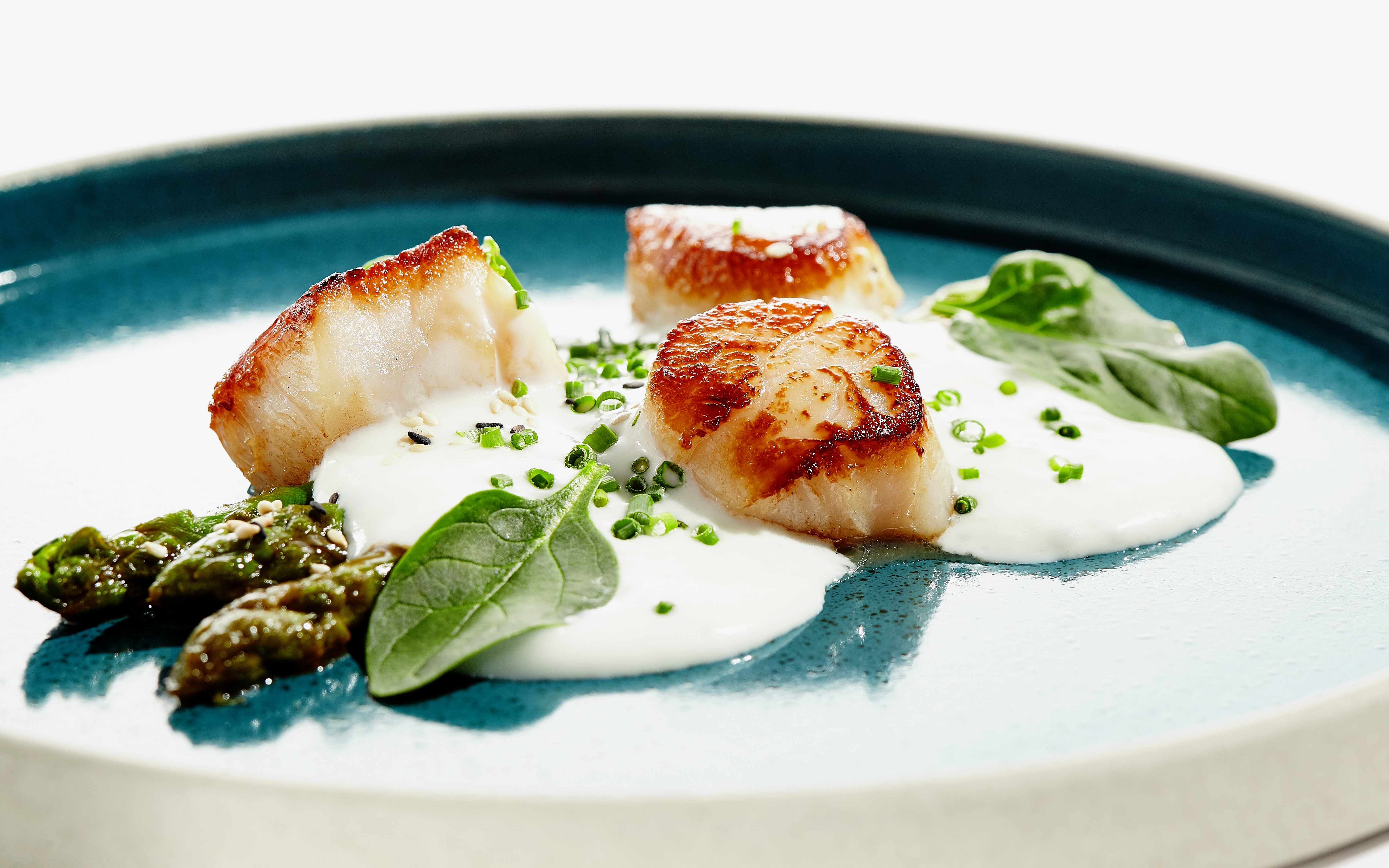 Grilled scallops with asparagus and creamy sauce on a blue plate.
