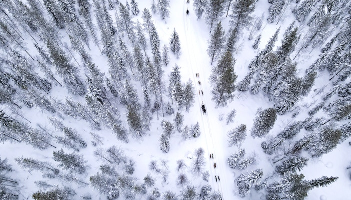 Aerial view of husky sledding through snowy forest near Rovaniemi.