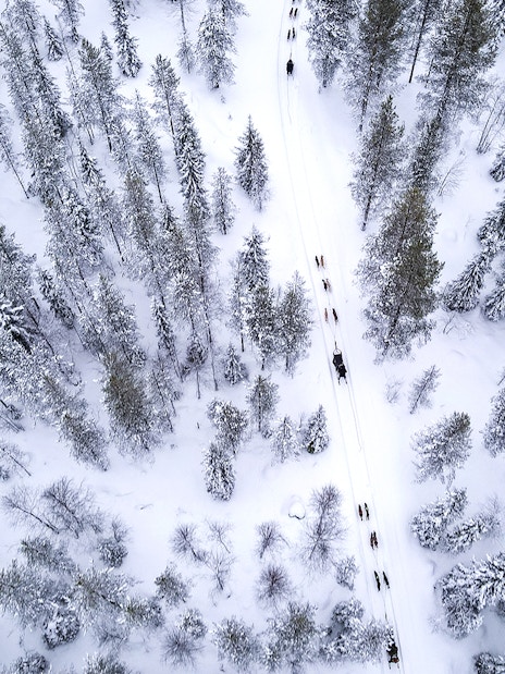 Aerial view of husky sledding through snowy forest near Rovaniemi.