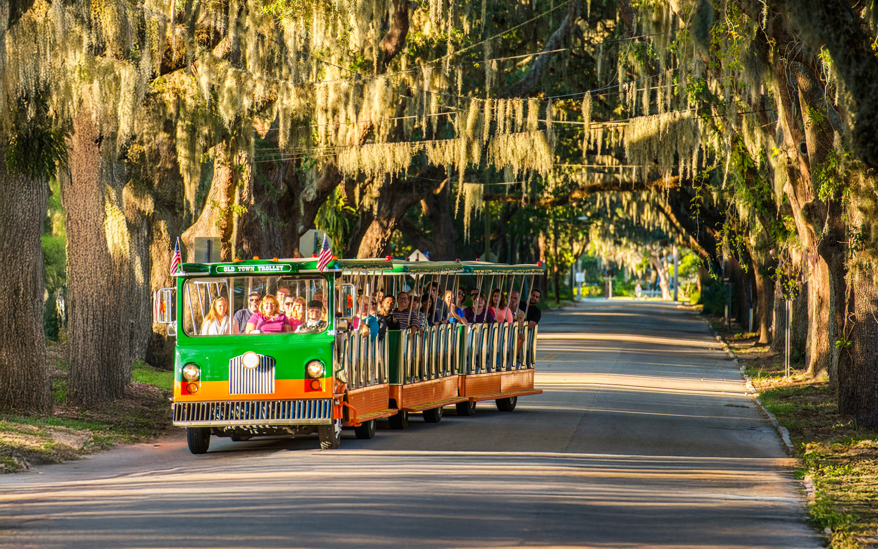 Old Town Trolley tour under moss-covered trees in St. Augustine.