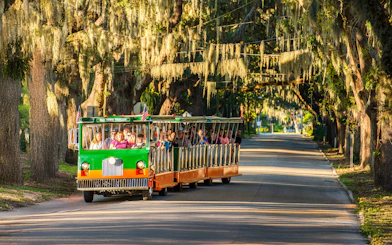 Old Town Trolley tour under moss-covered trees in St. Augustine.