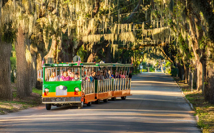 Old Town Trolley tour under moss-covered trees in St. Augustine.