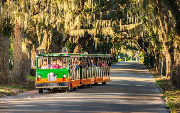 Old Town Trolley tour under moss-covered trees in St. Augustine.