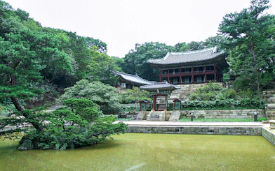 Changdeokgung Palace garden view, Seoul, on Dongdaemun Hop-on Hop-off Bus Tour.
