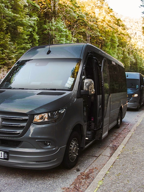 Luxury coach with glass roof parked on scenic road, Milford Sound.