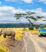 Reserva Nacional de Masai Mara