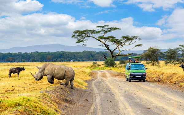 From Nairobi: 5-Day Masai Mara, Nakuru, and Naivasha Safari with Stays, and Entry Fees