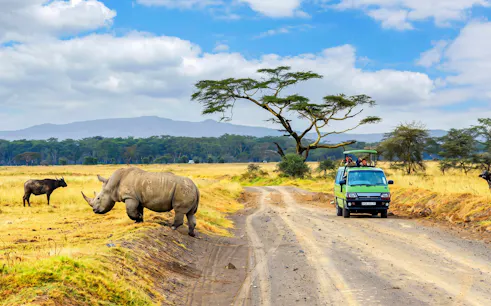 Safari vehicle observing rhino and wildebeest in Masai Mara, Lake Nakuru & Naivasha.