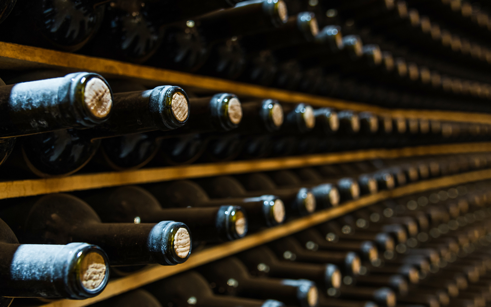 Wine bottles aging in a cellar during Vouvray wine tour.
