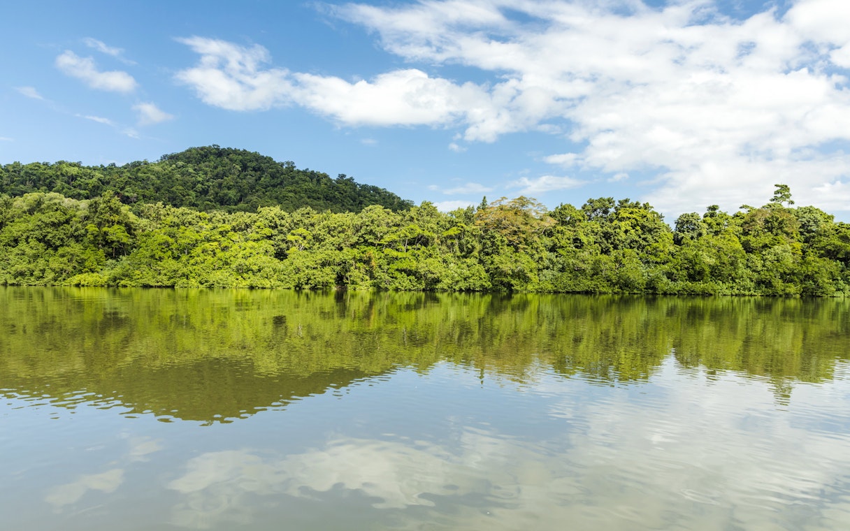 Daintree River with lush rainforest and mountain backdrop, Billy Tea Safaris tour.