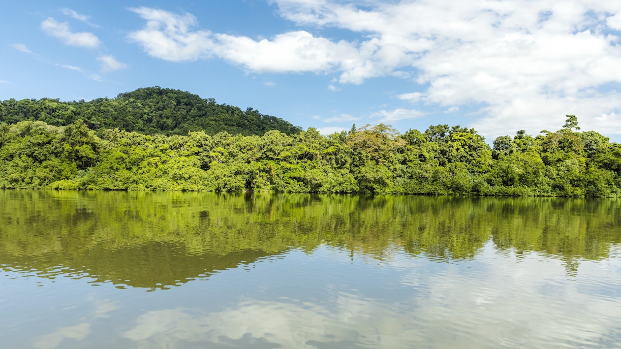 Daintree River with lush rainforest and mountain backdrop, Billy Tea Safaris tour.