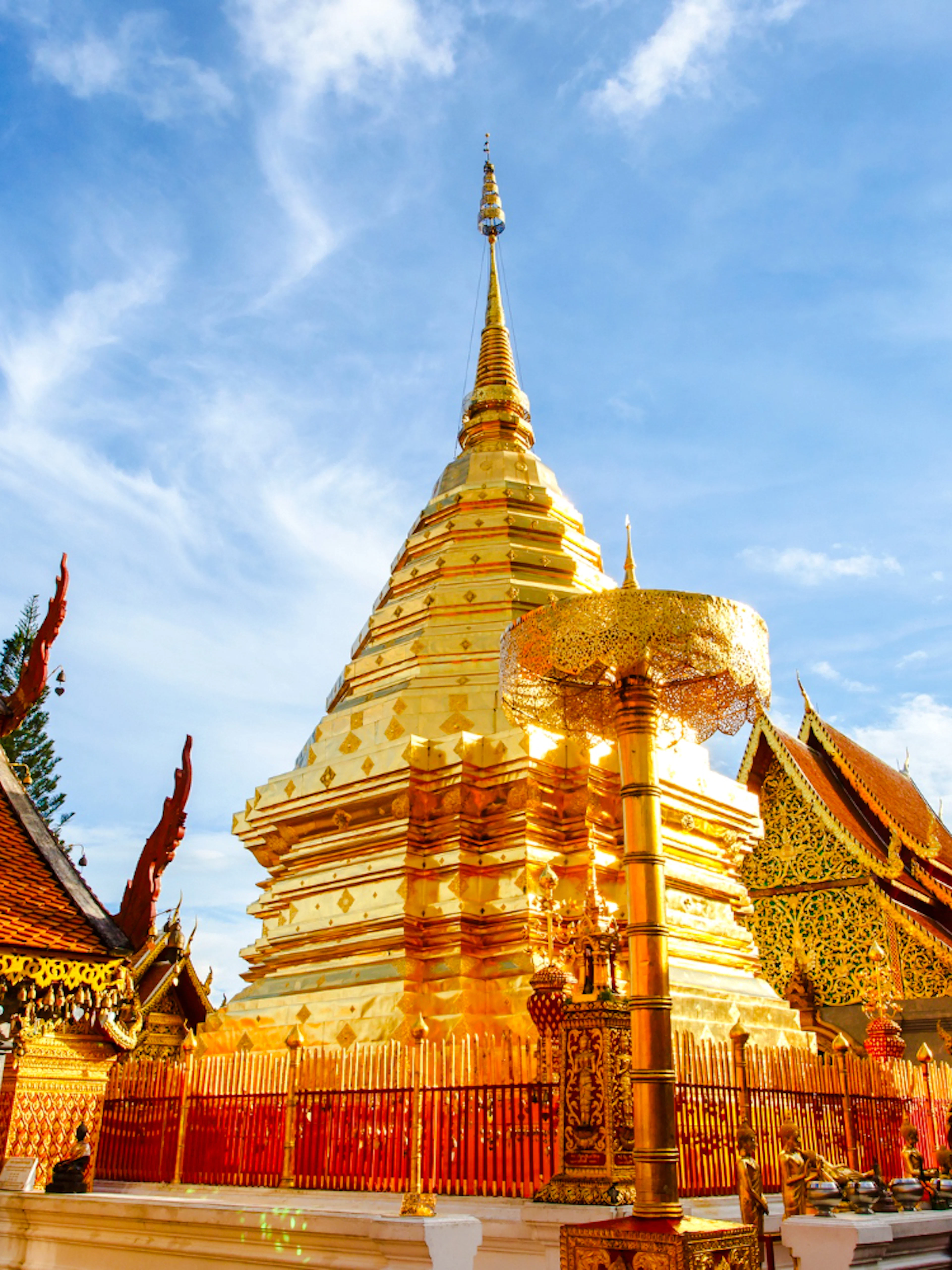 à partir de chiang mai : circuit à doi suthep, au wat pha lad et au village de la tribu de meo-1
