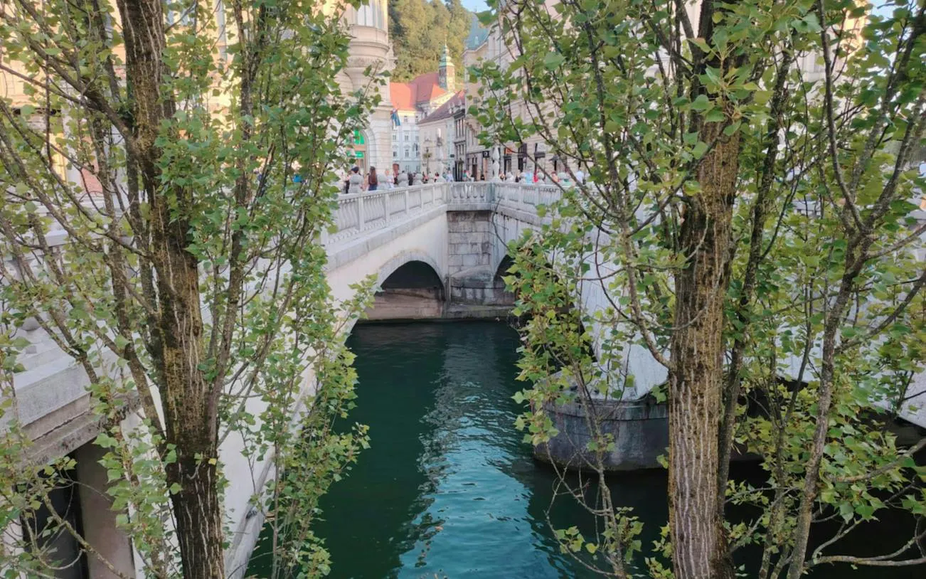 Ljubljana's Triple Bridge over the Ljubljanica River, framed by trees.